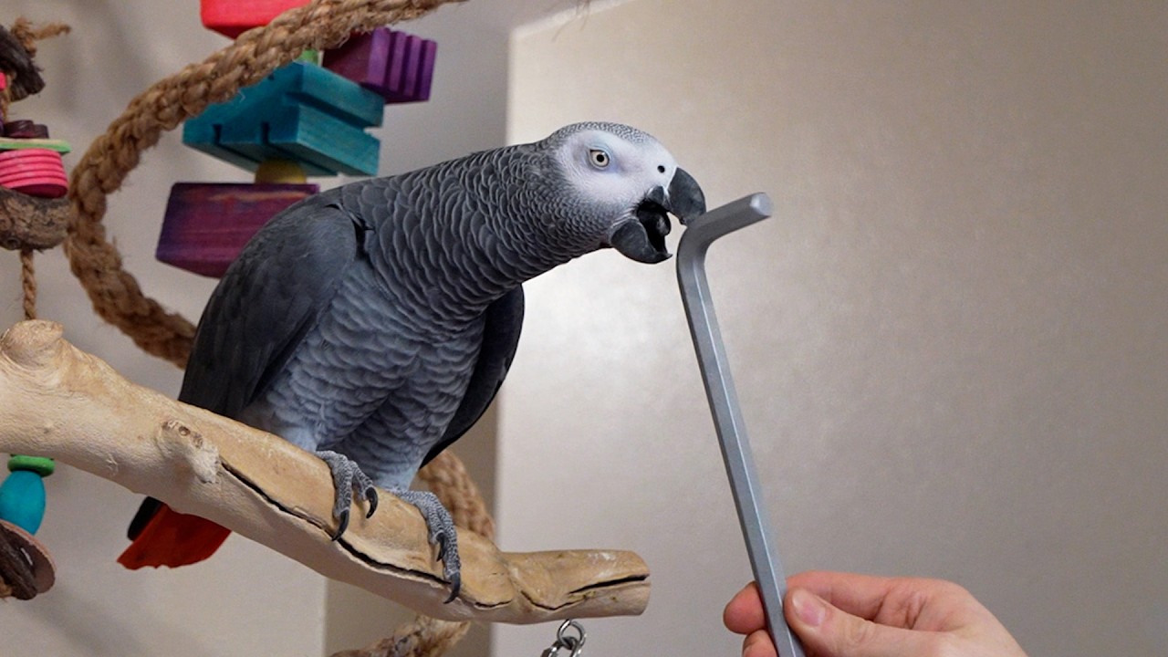 Is This a Wrench?