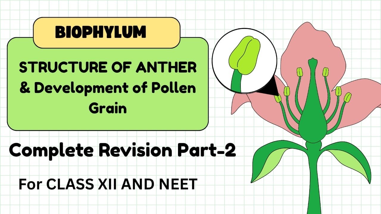   Structure of anther and microsorangia . Complete Revision Part-2