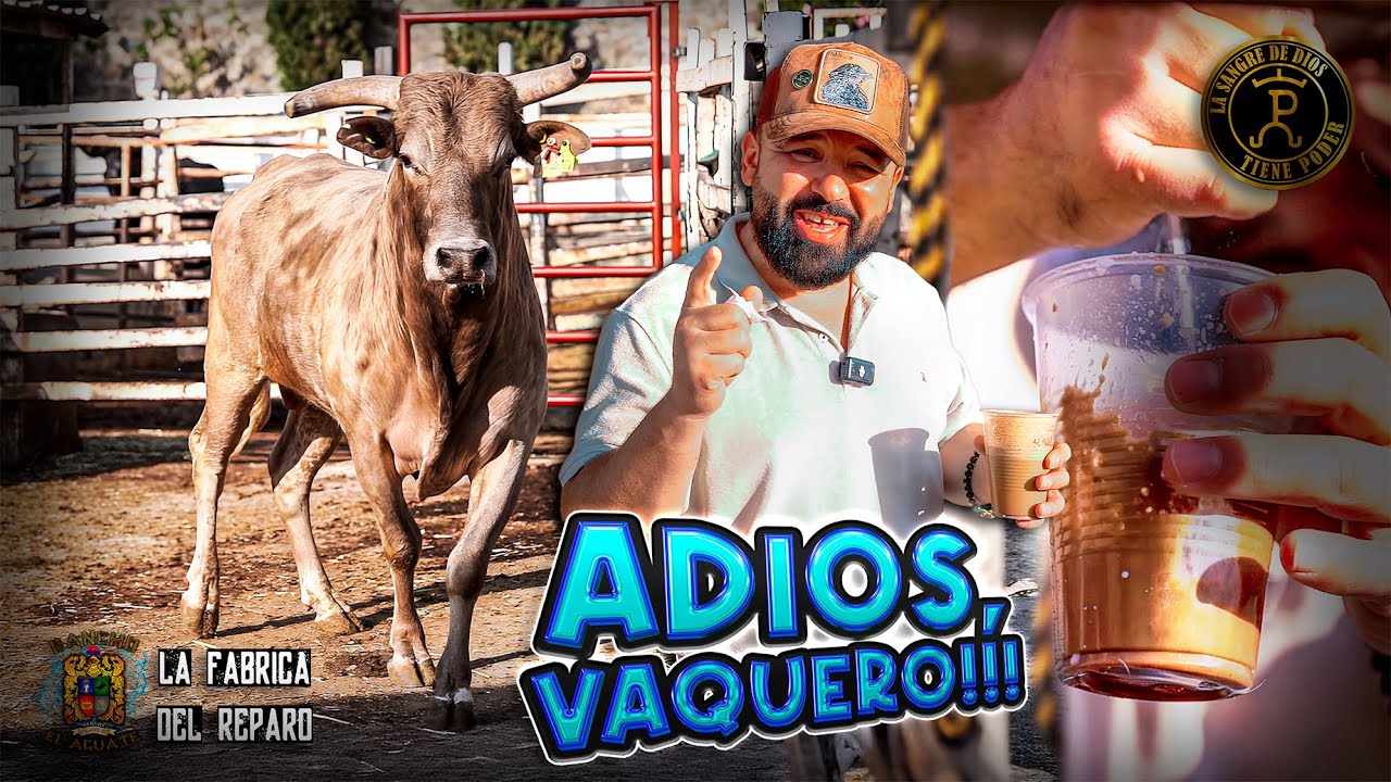 ¡SE VAN MÁS #TOROS DE RANCHO EL AGUAJE! | NO CREERAN A QUE #GANADERIA ESTAMOS REFORZANDO CON EST...
