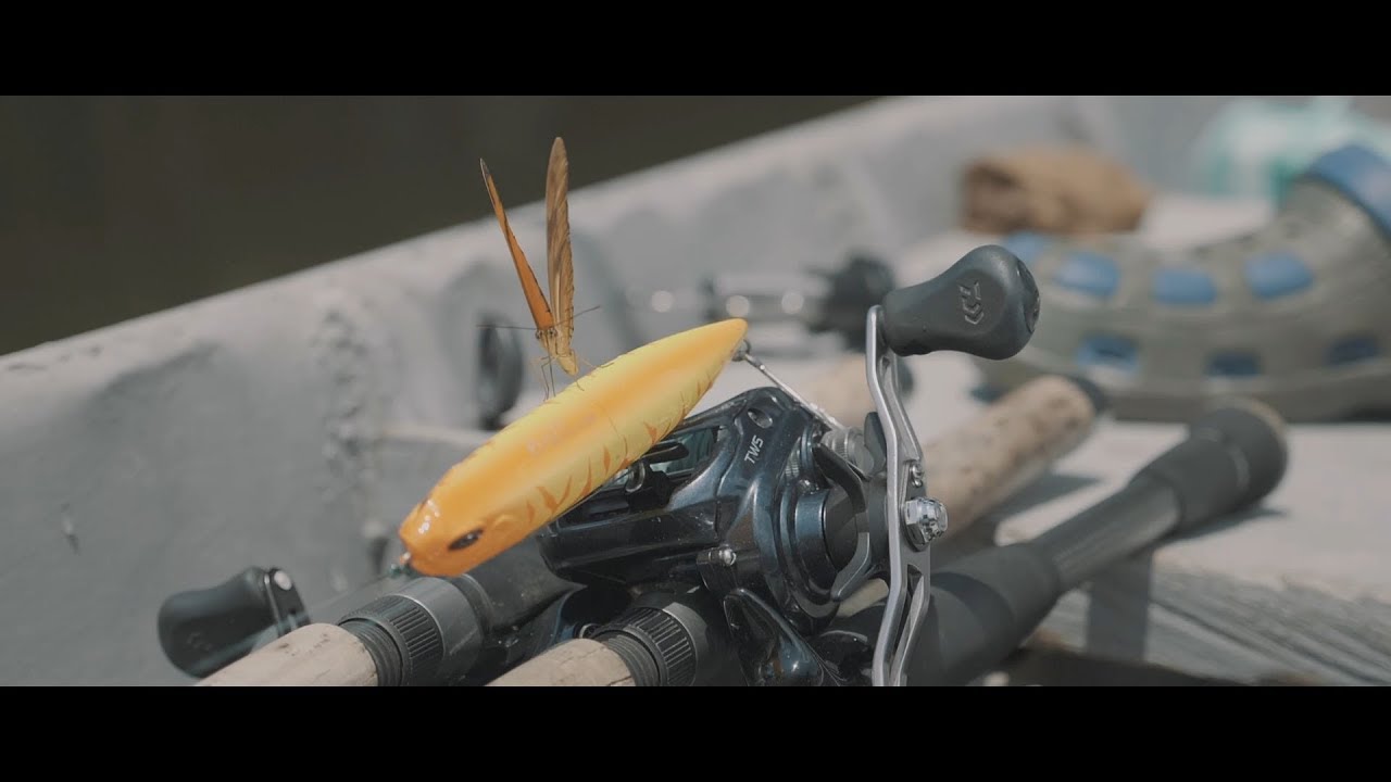 Topwater Smash with Realis Pencil