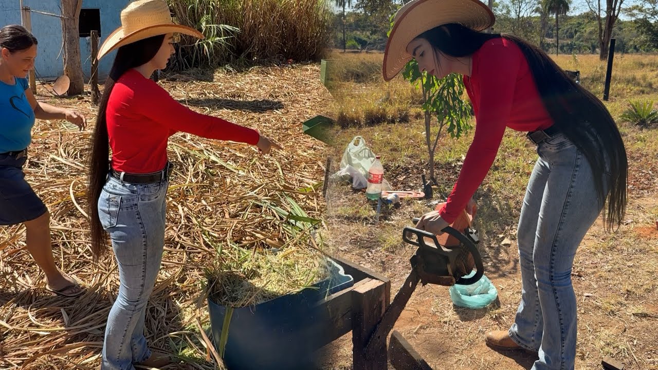 Ajudei a Construir um cocho pro gado comer silagem 