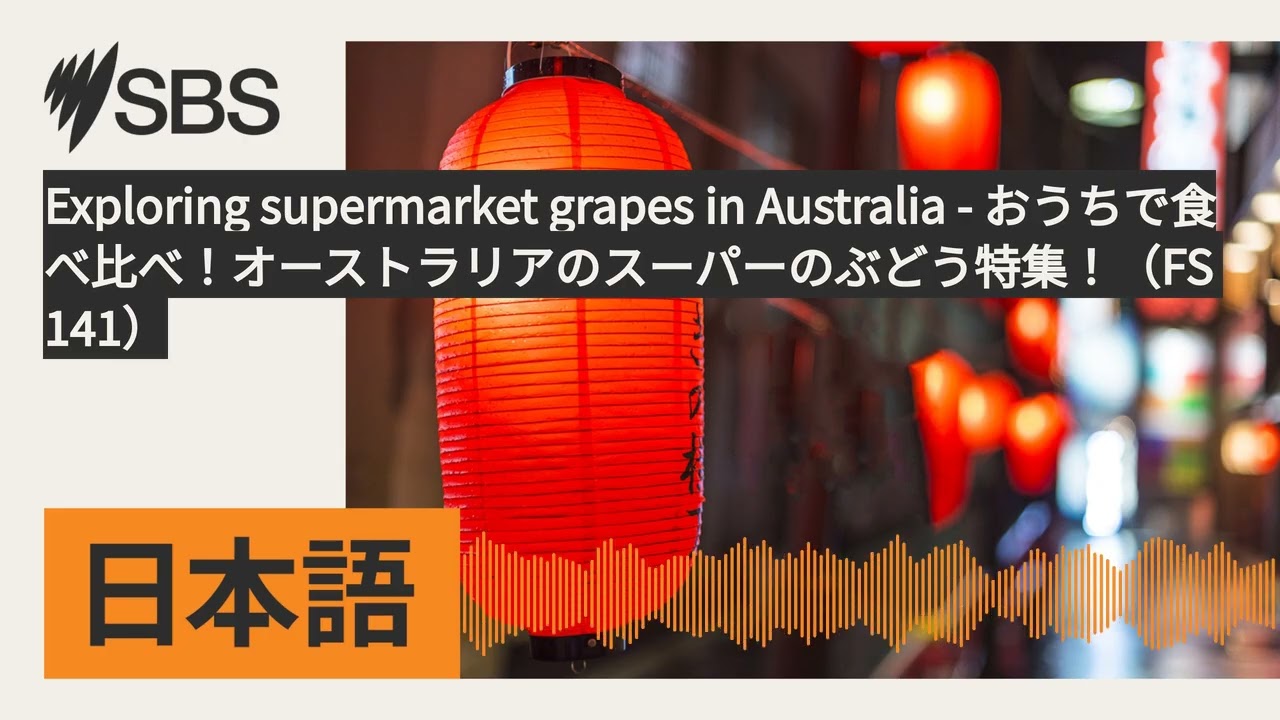 Exploring supermarket grapes in Australia - おうちで食べ比べ！オーストラリアのスーパーのぶどう特集！（FS 141） | SBS Japanese...