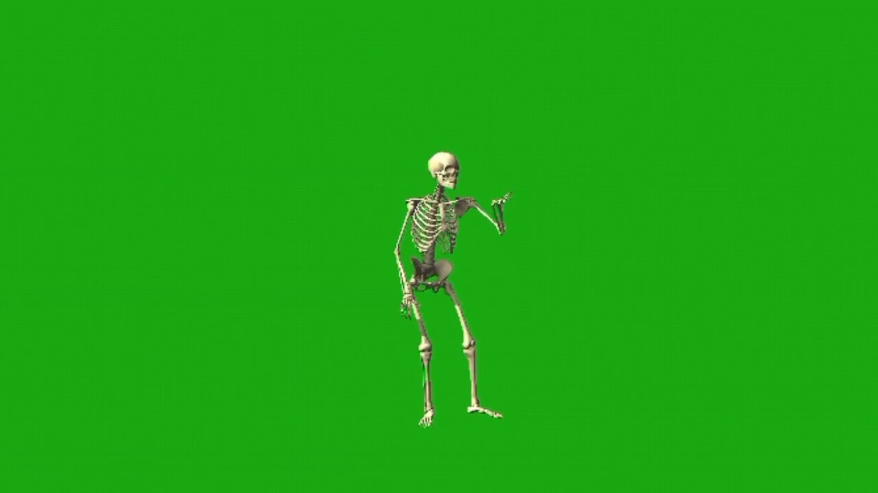 skeleton green screen video no copyrightHuman Skeleton The internal frame of the human body