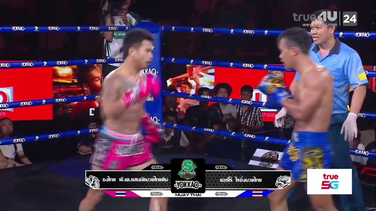 ไฮไลท์เดือดมวยไทย ศึกมวยไทยพลังใหม่ I ธงไทย พี.เค.แสนชัยมวยไทยยิม VS แอร์โร่ ไรซิ่งมวยไทย
