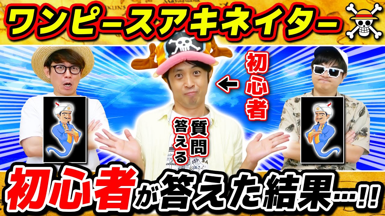 【 ワンピース 】海賊ですか？→「ん〜わかりません！」初心者がワンピキャラアキネイターで回答者やった結果！ONE PIECE