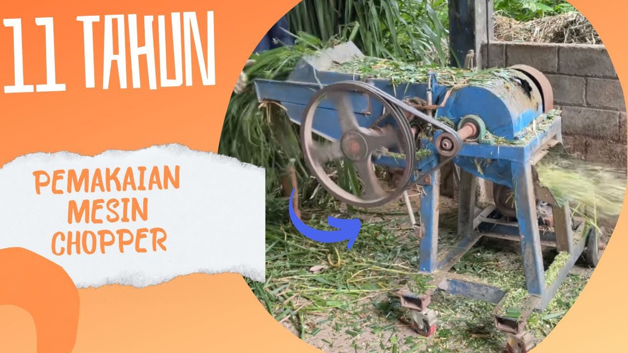 Usia mesin 11 tahun sampai lumutan|| mesin chopper masih bisa direparasi || #mesinchopper