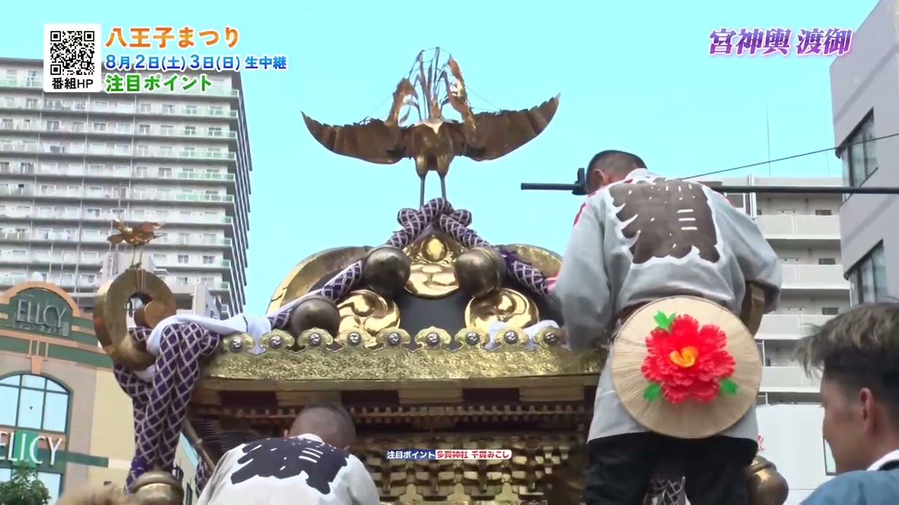 【LIVE告知】八王子まつりを徹底ガイド！真夏の祭典を楽しもう！　▽2日(土)関東太鼓大合戦／民踊流し　▽3日(日)　山車巡行／神輿渡御