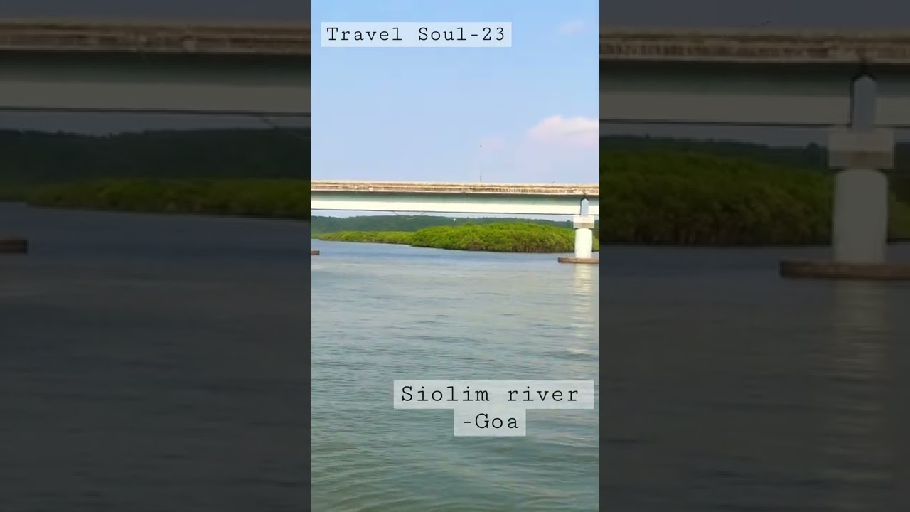 Siolim river -Goa #shorts #goa #siolim #travel