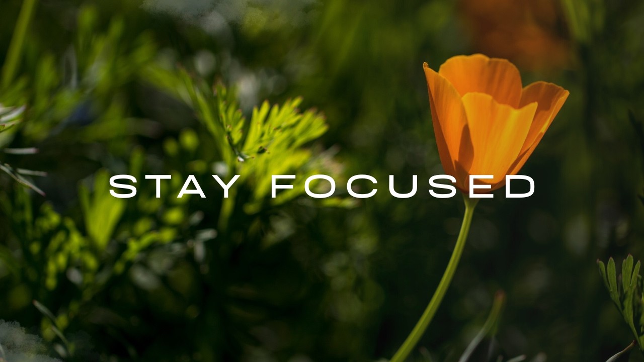 Deep Focus Music for Work & Study | Calm Background Sounds, No Distractions