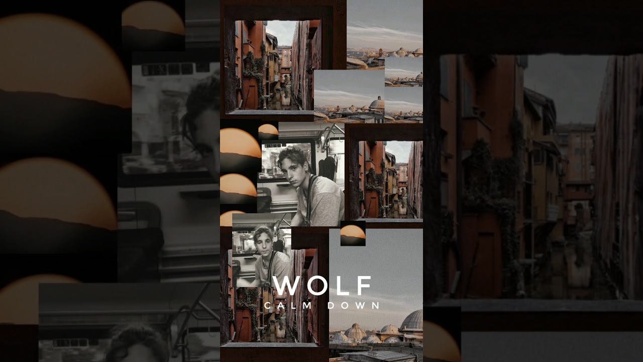 WOLF - Calm Down