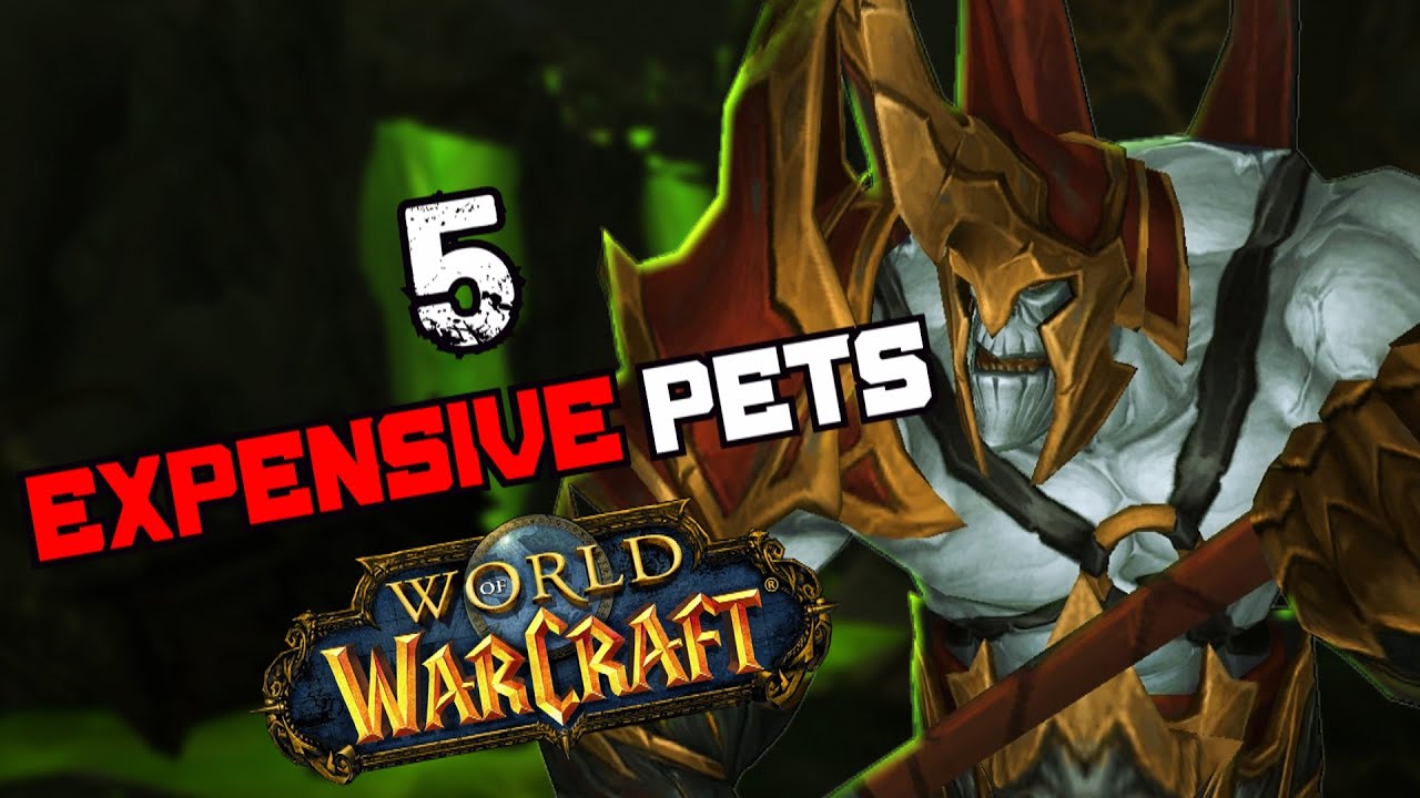 5 боевых питомцев, которые стоят много золота в World of Warcraft