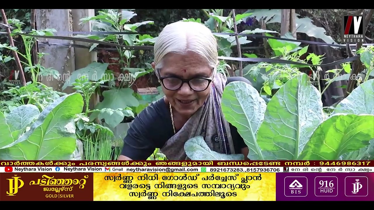 അടുവാപ്പുറത്തെ ഹൈമാവതി അമ്മ പൊളിയാണ്. പച്ചക്കറിയും, യൂറ്റ്യൂബ് ചാനലും; 70കാരിയുടെ ഒറ്റയാൾ പോരാട്ടം.
