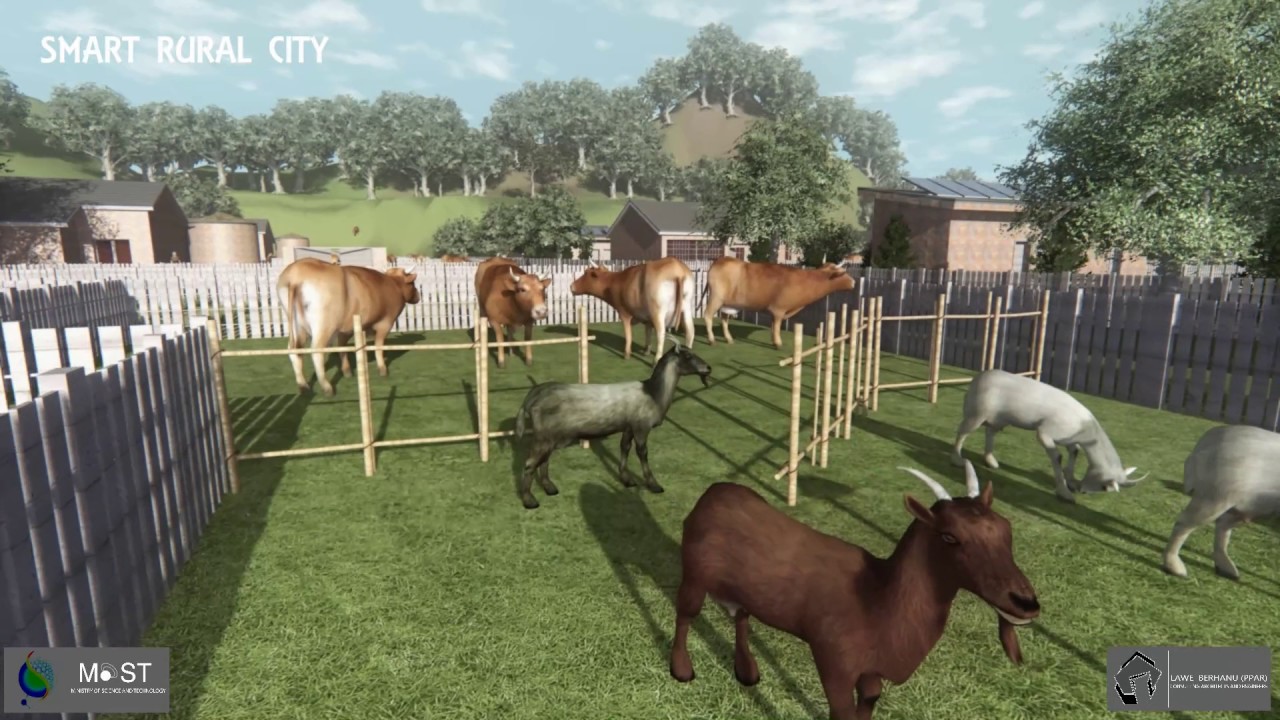 Smart Village Project