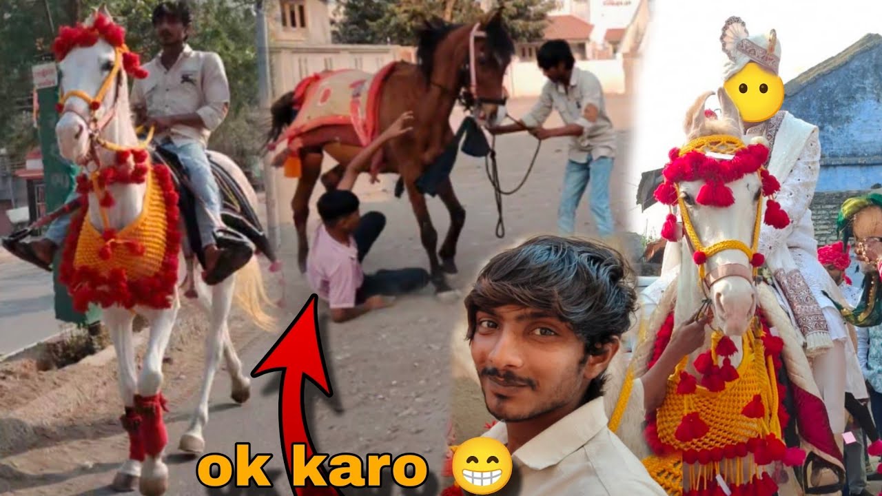 આજે મેમાન ને પછાડિયા અને વરઘોડા માં ગયા 😱