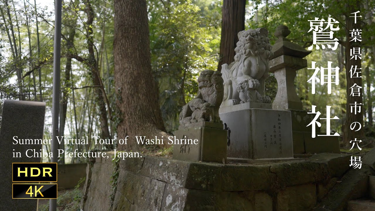 Japan virtual tour. Eagle Shrine Chiba forest 鷲神社 千葉の穴場 神社 佐倉【環境音】[ 4K HDR JAPAN WALK ][ ASMR ]