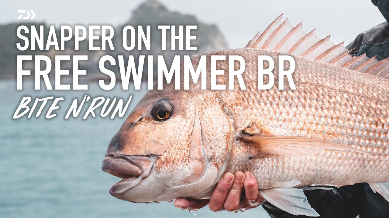 FREE SWIMMER BR || Bait fishing for Snapper