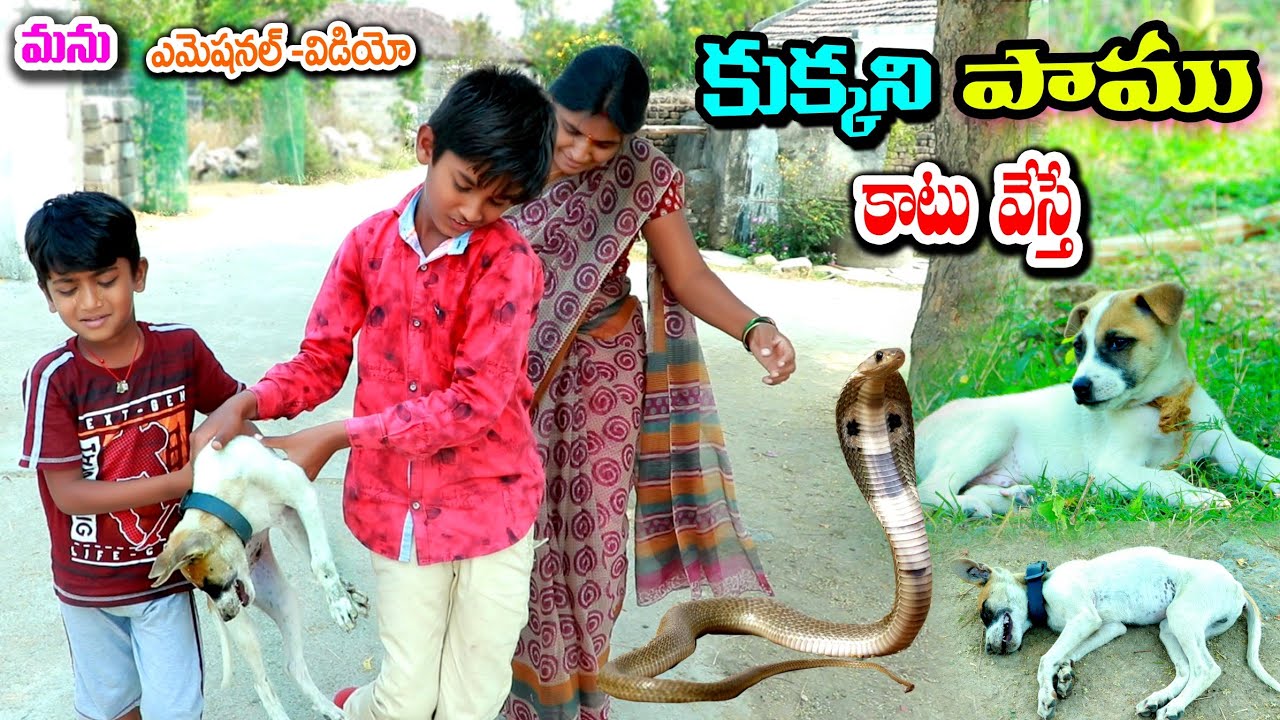 కుక్కని పాము కాటు వేస్తే || kukkani paamu katesthe || Manu videos || telugu letest all