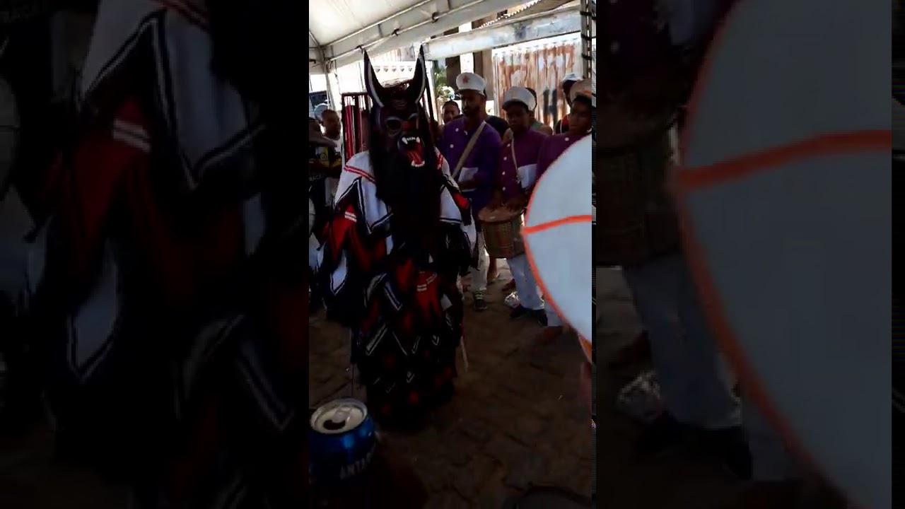 Folia de Reis Miracema  (pinguim na casa do tiil )