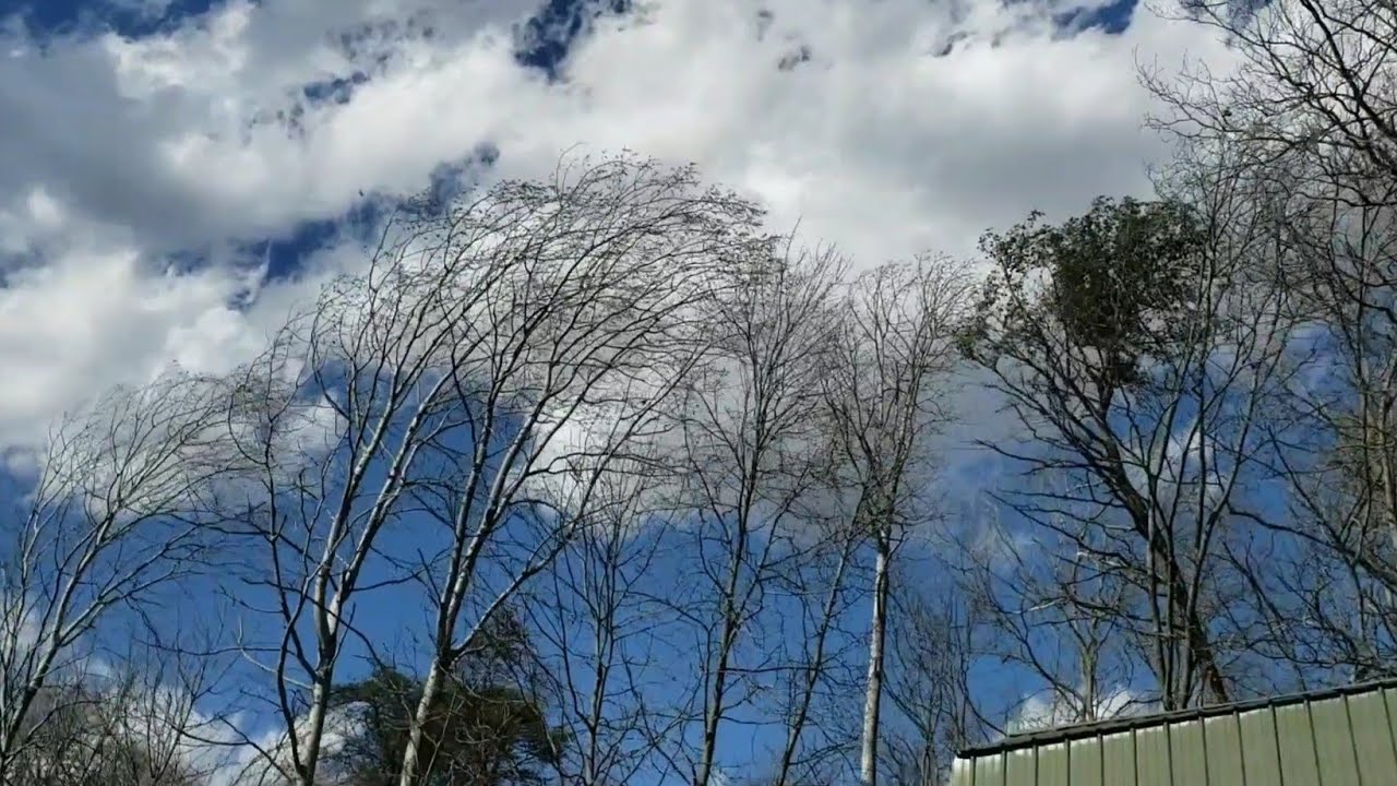 the destructive windstorm of March 25th, 2023
