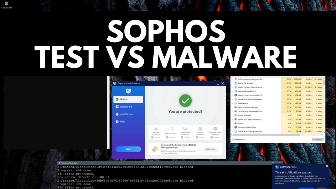 Sophos Home Test против вредоносных программ