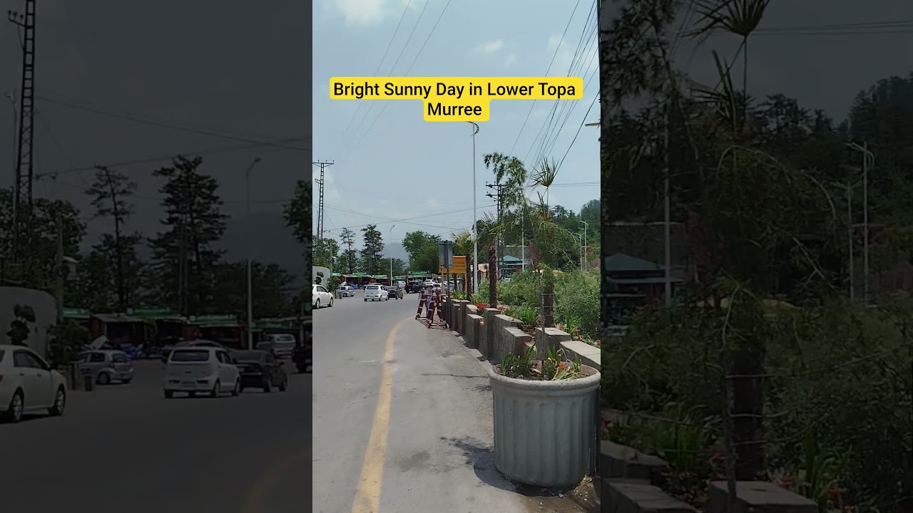 Lower Topa Murree Bright Sunny Day | Travel Pakistan | Anjum Jamil vlogs