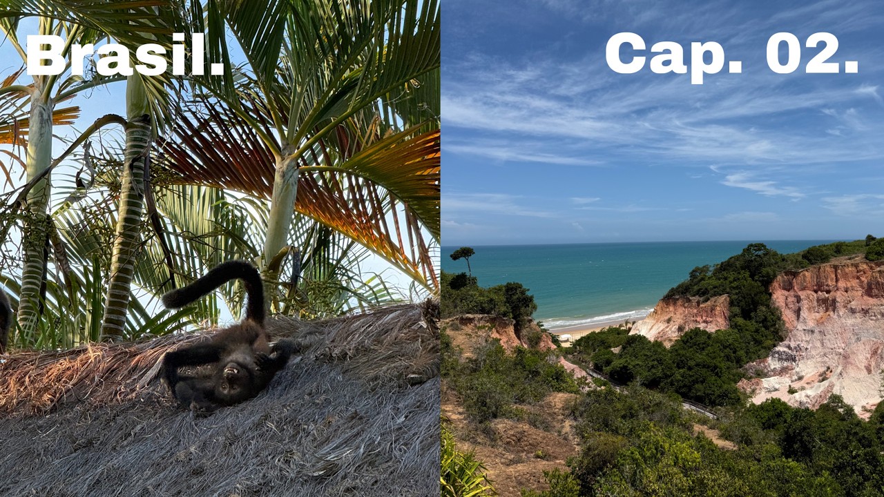 all inclusive con toda mi familia