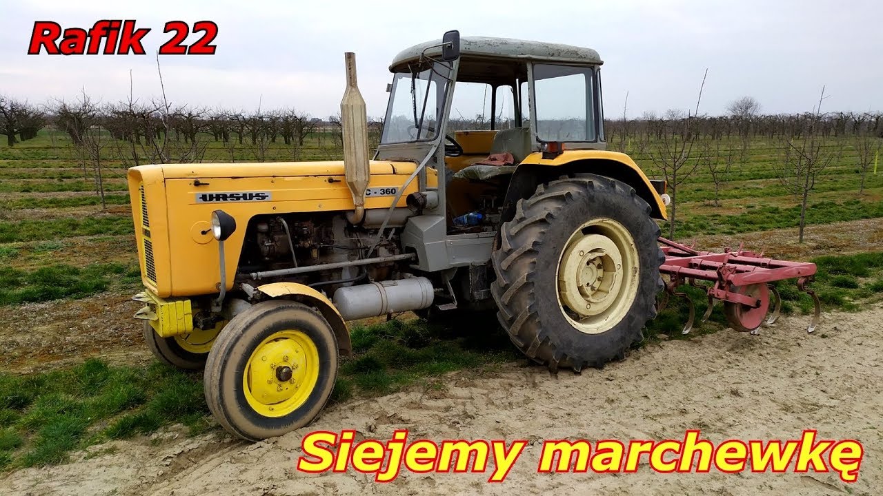 Uprawa i siew marchewki 2020. Siewnik ręczny. Ursus & Massey Ferguson.