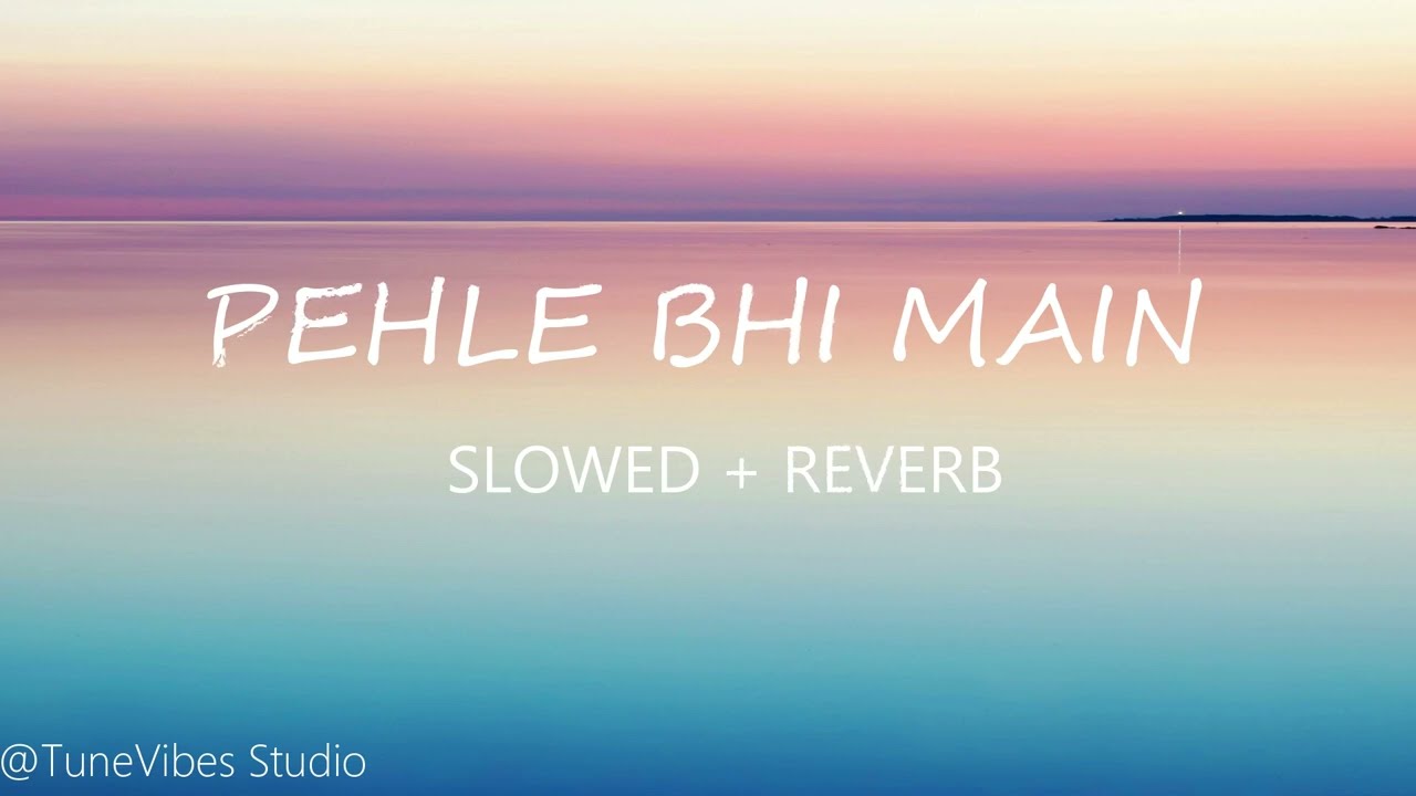 ANIMAL:Pehle Bhi Main | Slowed + Reverb | Vishal Mishra