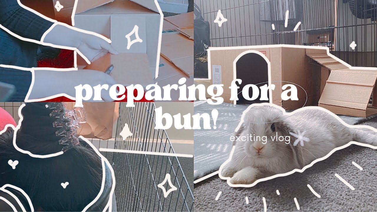 Meet my first bun!  (Shopping for a few things, making a hide house and going a road trip)