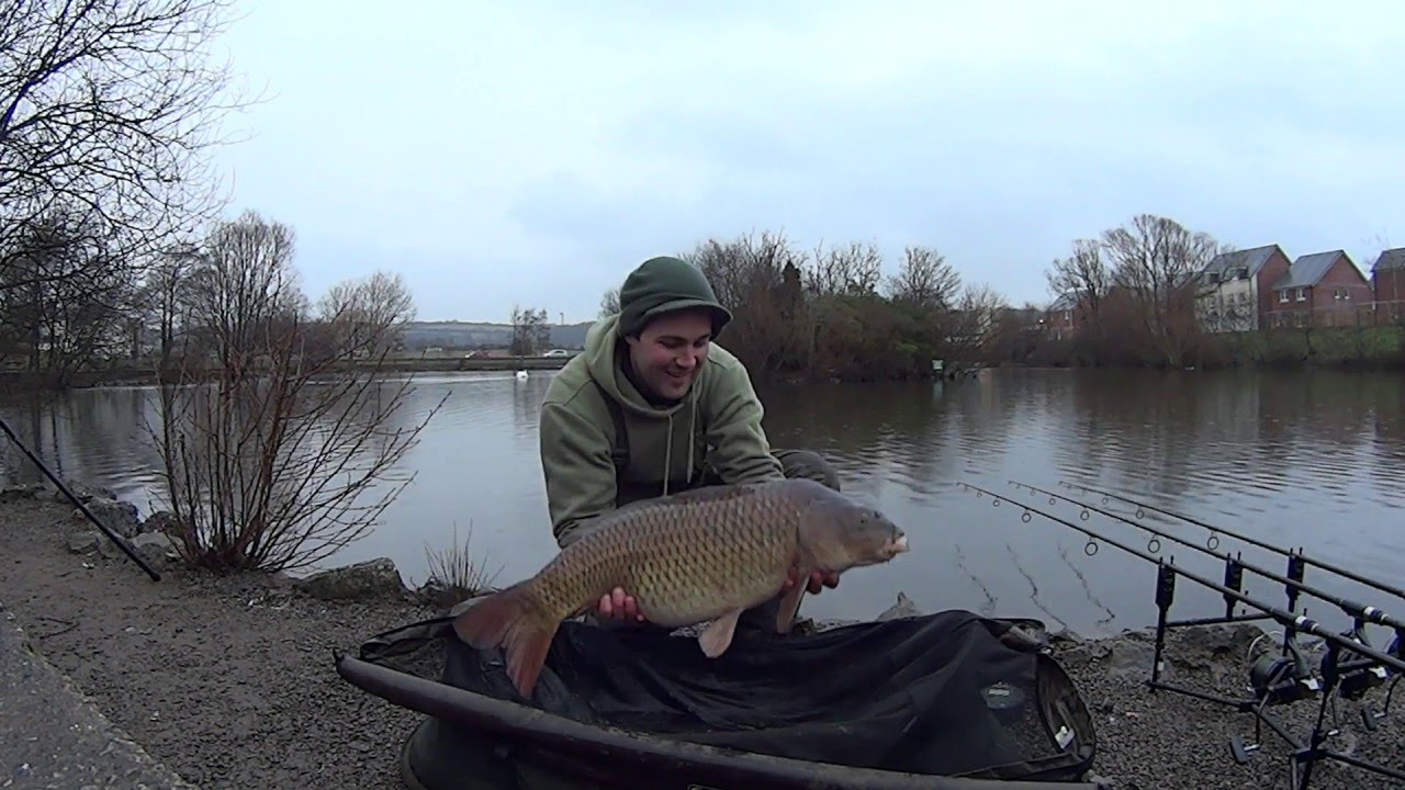 Porthcawl meadow lake- last knockings (Blog 17)