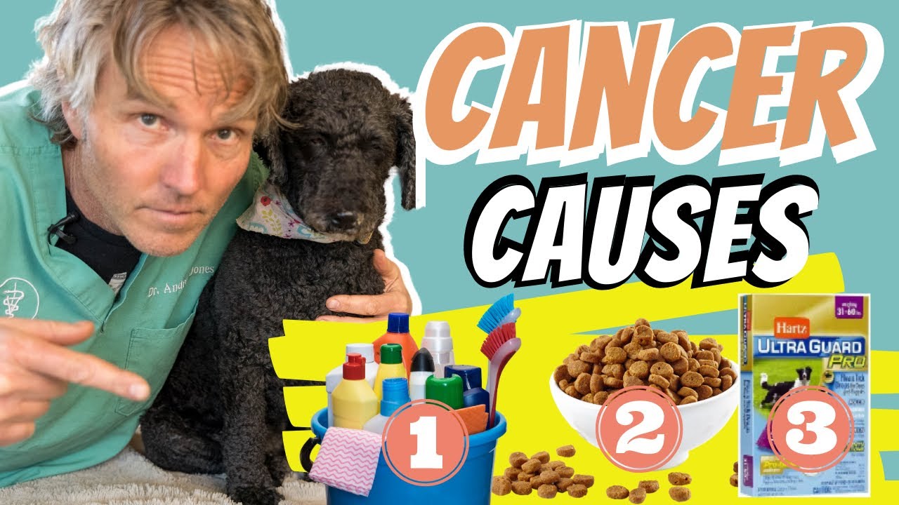 Cancer Causes in Dogs and Cats
