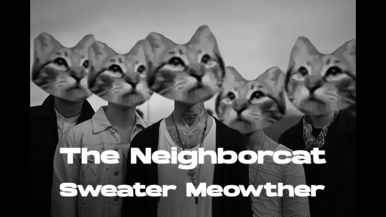 The Neighborcat - Sweater Meowther(MeowSynth)