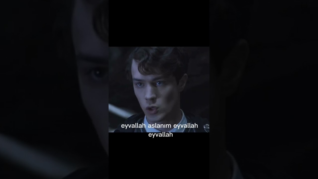 #pov 13 meybuz 1 de ceset #hp #harrypotter