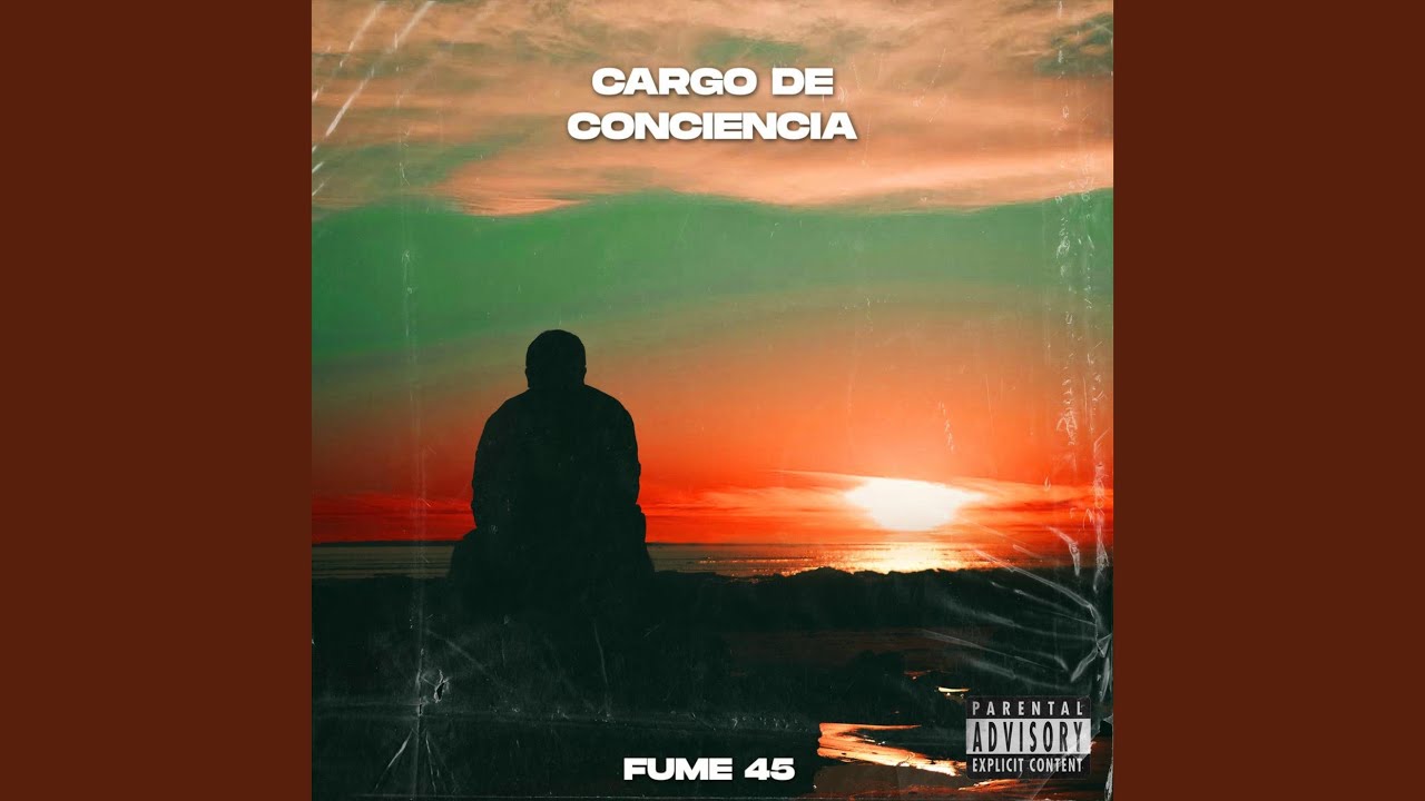 CARGO DE CONCIENCIA