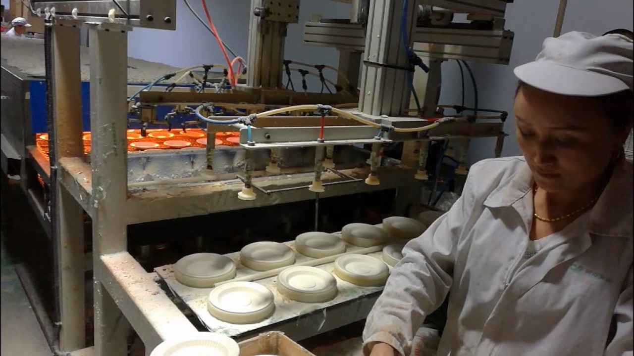 生物降解 澱粉发泡餐具
