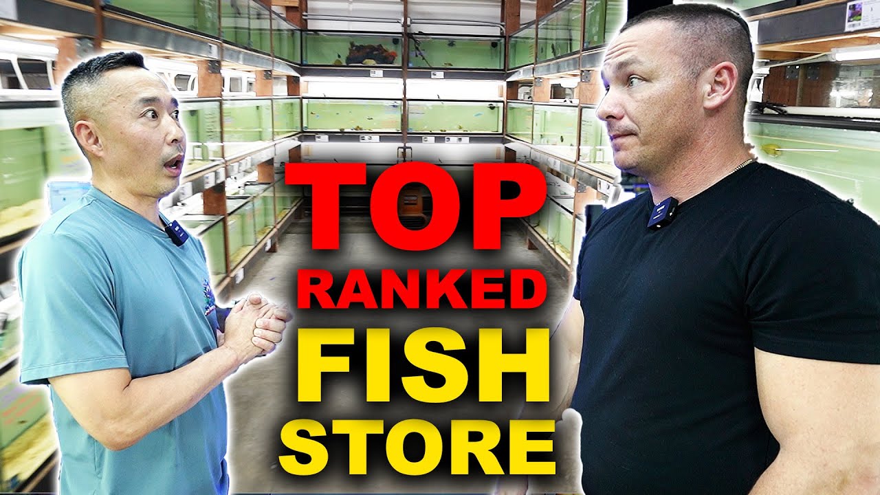 THE BEST AQUARIUM FISH STORE IN CALIFORNIA! The king of DIY visits CKfishworld
