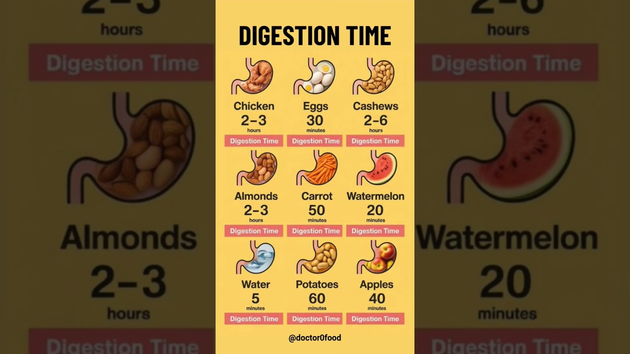 How Long Does It Take to Digest Different Foods? 🍎🍗🥕 | Digestion Time Explained #healthyeating