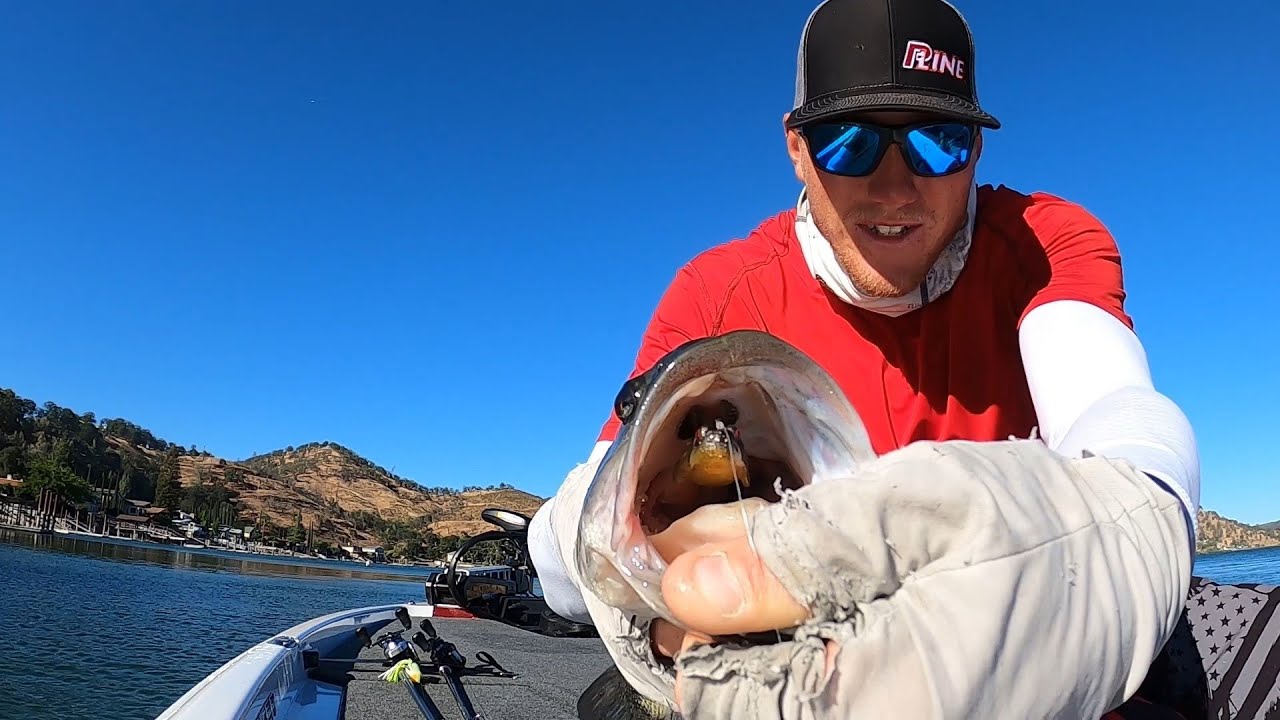 Secret Megabass Dark Sleeper Tips