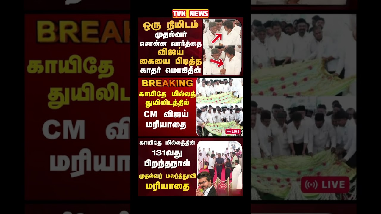 TVK Thalapathy vijay anna || #tvk#cmotamilnadu#tamilnadu#breakingnews#news#thalapathy#vijay