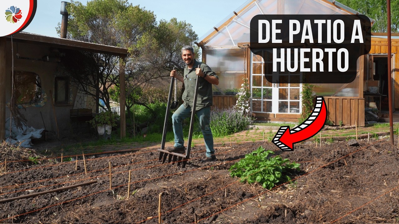 Transformo mi PATIO en HUERTO en la MINI GRANJA 👨‍🌾