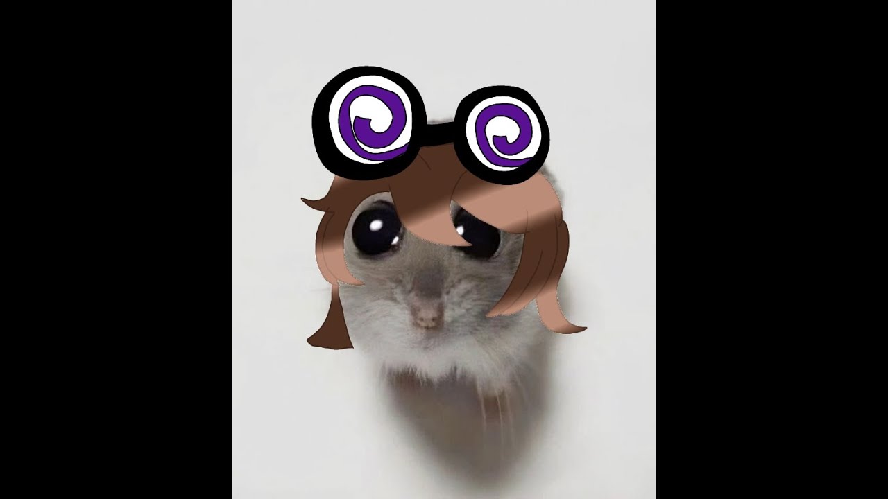 Epsodio 9- Un Momento random de reunion =3 //Springy Patata// #parati