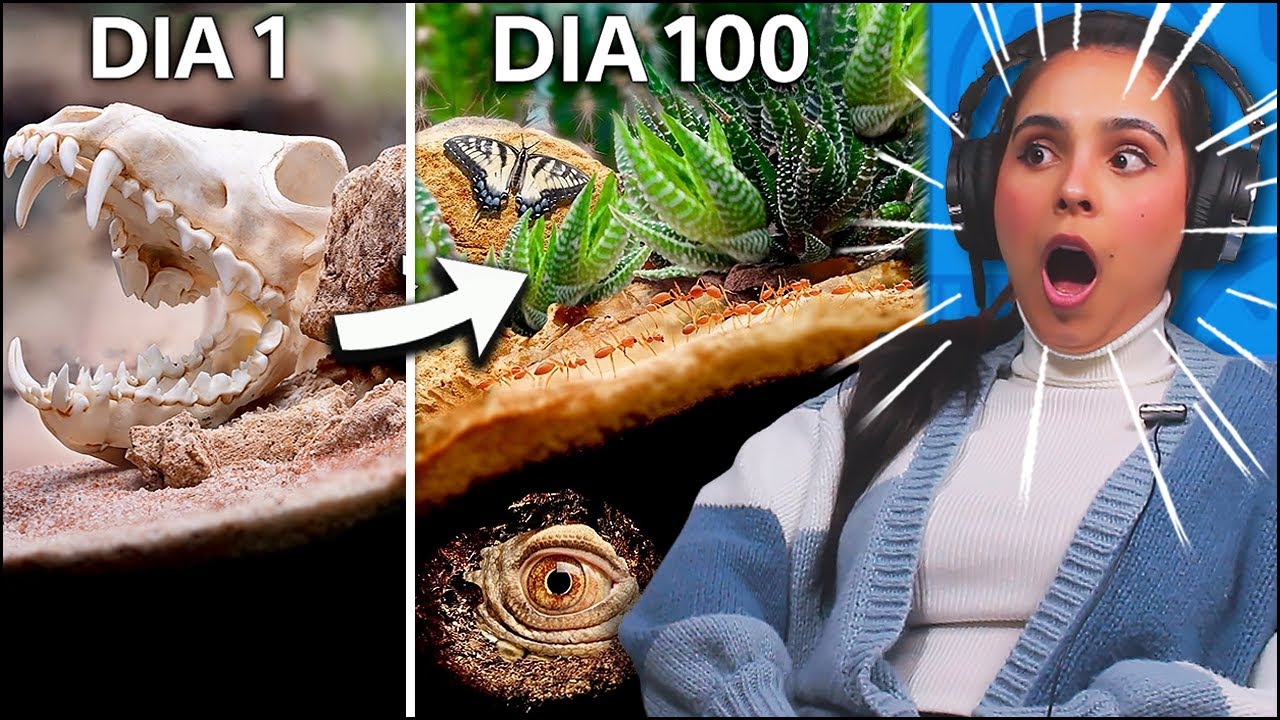 ELE SIMULOU A AFRICA POR 100 DIAS, INACREDITÁVEL - REACT DR PLANTS