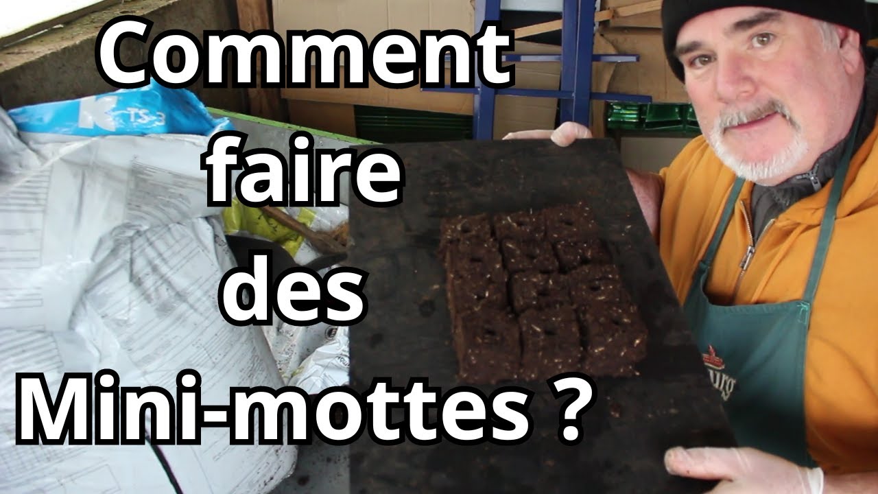 Que dirait mon grand-père de cette machine à mini-mottes ? Découvrez la réponse ensemble !