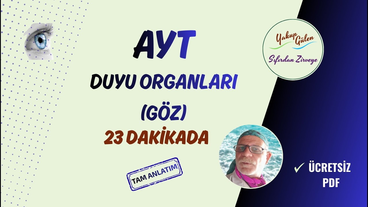 2026 AYT Biyoloji | DUYU ORGANLARI: GÖZ | Sıfırdan Zirveye
