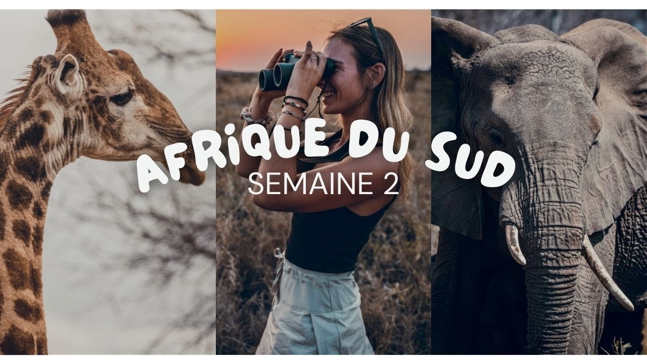 VLOG: Semaine 2 d'éco-volontariat, direction le Kruger  🦁