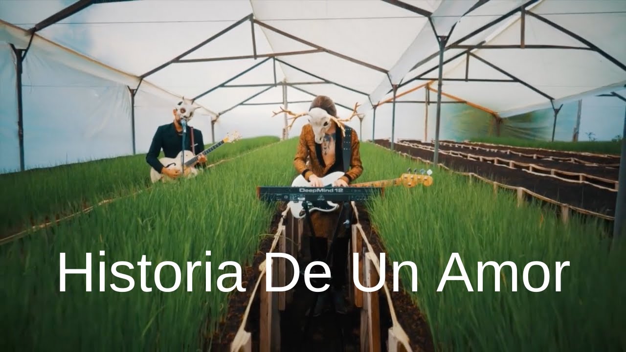 Historia De Un Amor (Live) - Sinego