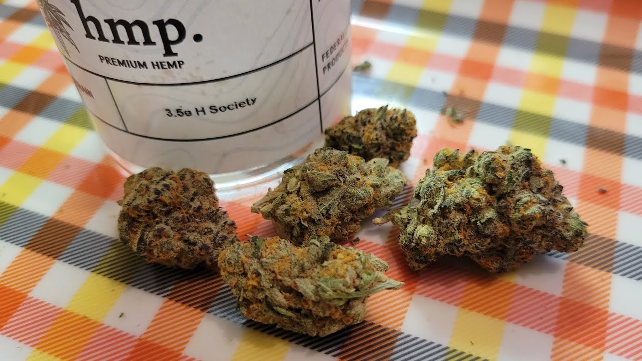 hmp THCA High Society Strain Review! 💯 ⛽️ 🔥