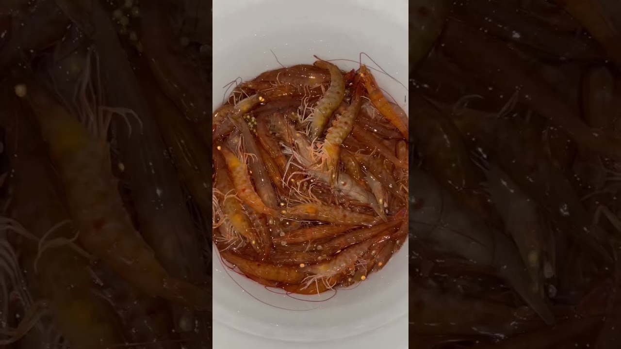 МИЛЛИОНЫ креветок в дикой природе!!