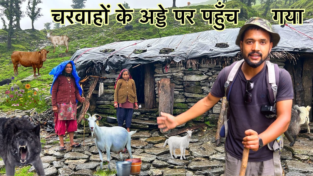 स्वर्ग जैसा लगने वाला खूबसूरत बुग्याल ! चरवाहों के अड्डे में पहुँच गया Shepherd lifestyle | Arjun k