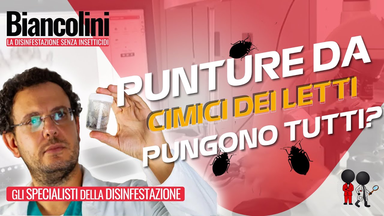 🌿Tutti vengono punti dalle cimici da letto?🌿